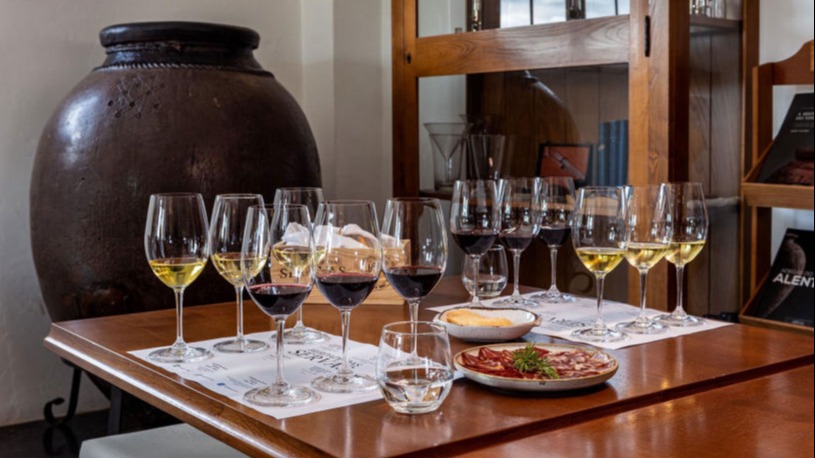 Местный виноградник и винодельня