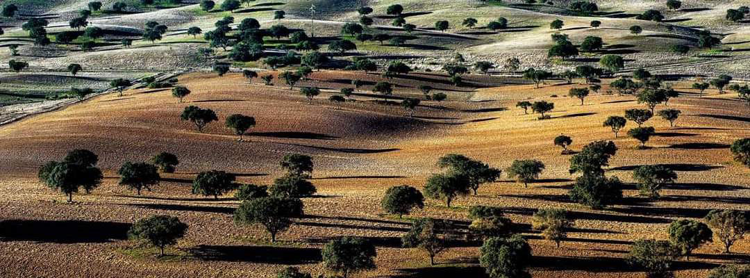 Alentejo