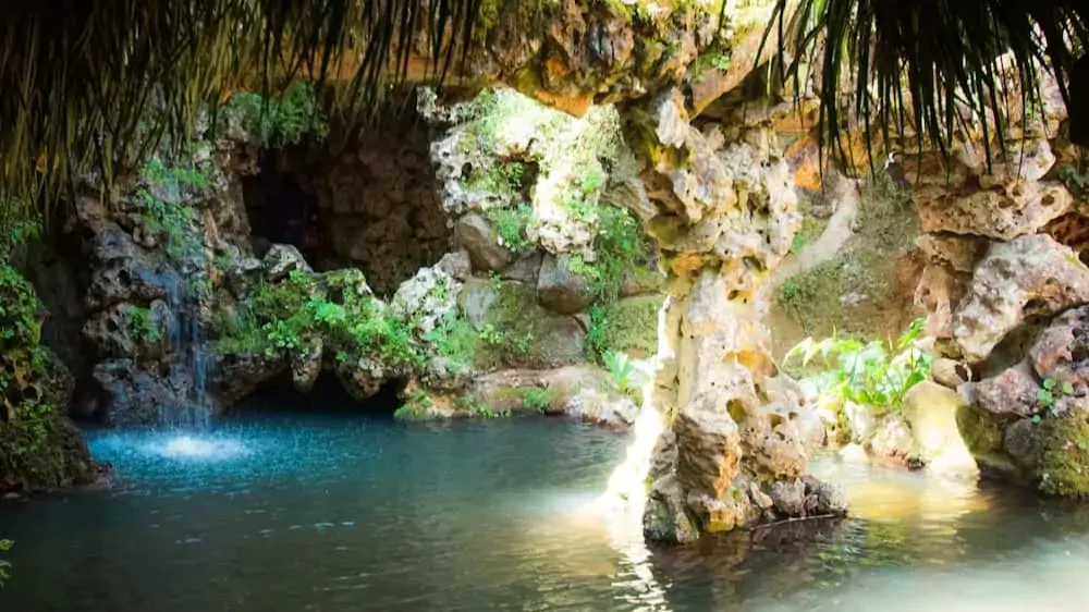 4. Кинта да Регалейра